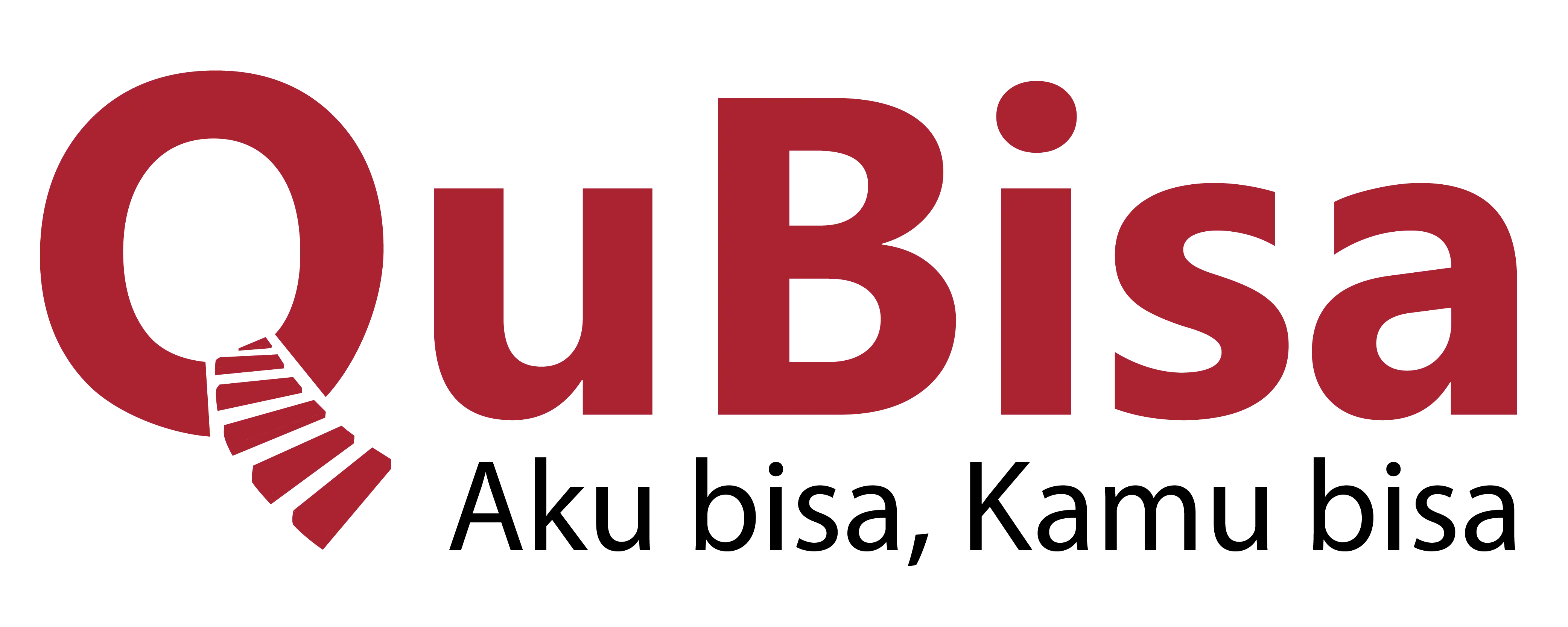 qubisa logo