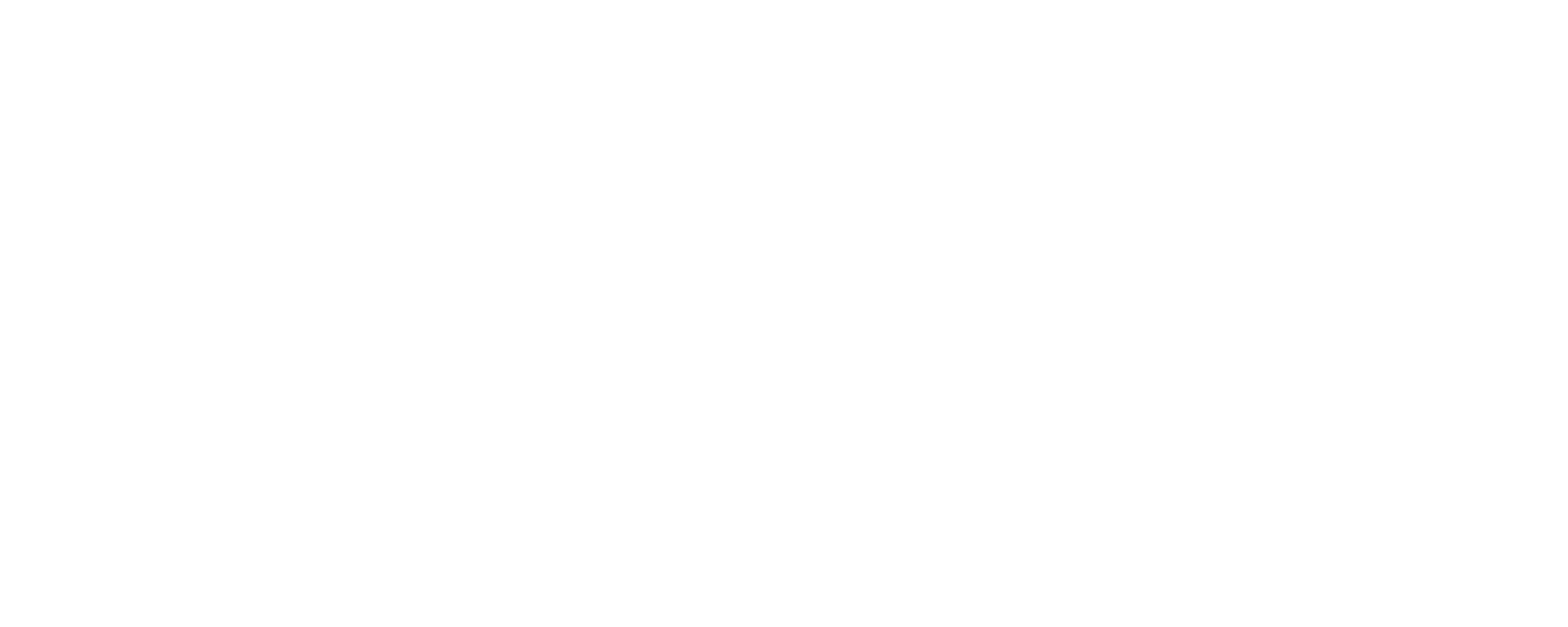 qubisa logo